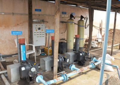 Sangli Grapes,Malgaon